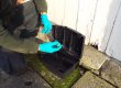 DIY or professional pest control