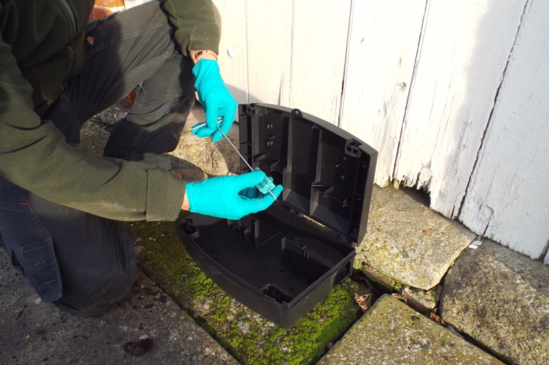 DIY or professional pest control