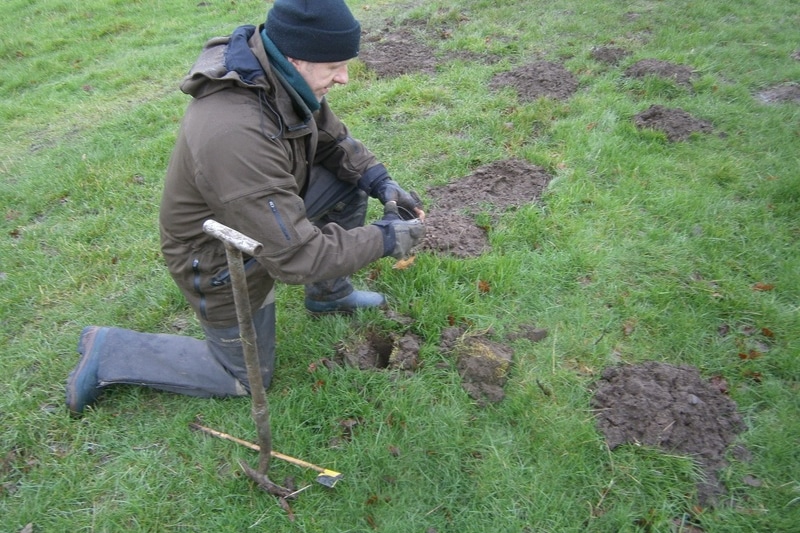 Mole control in Doncaster