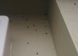 Cluster fly