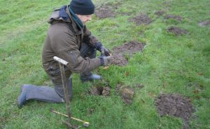 Mole control Doncaster