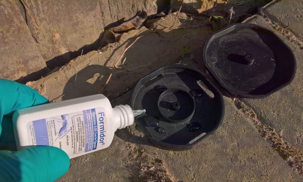 Ant control using bait