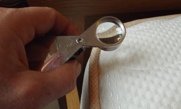 bed bug control Doncaster