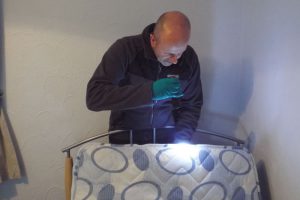 bed bug control Doncaster area