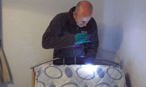 bed bug control Doncaster area