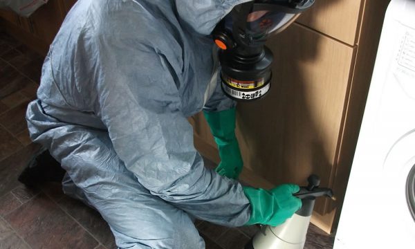 cockroach control Doncaster