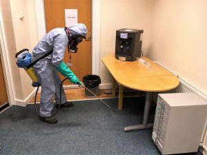 Flea control in Doncaster