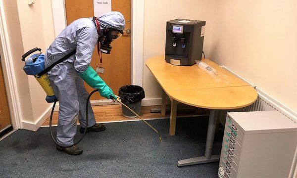 Flea control Doncaster