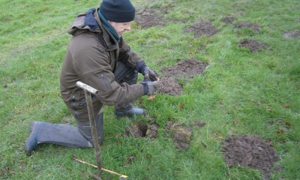 mole control in Doncaster
