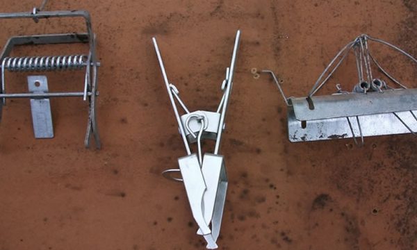 mole traps Doncaster