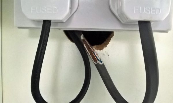 Rat chewing wires