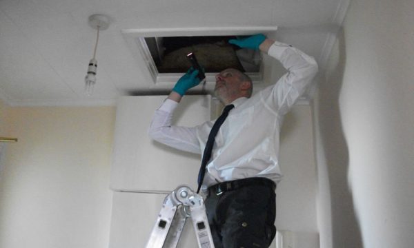 rodent control Doncaster