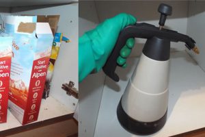 Stored product insect control Doncaster