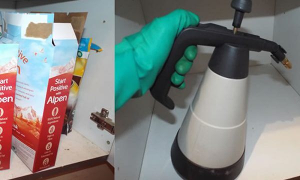 Stored product insect control Doncaster