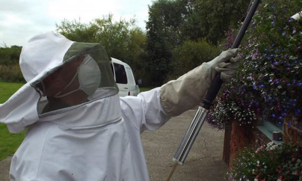 Wasp control Doncaster