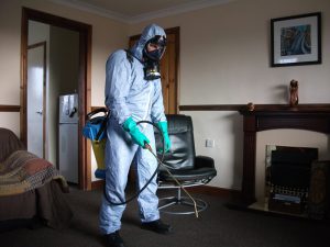 Flea control