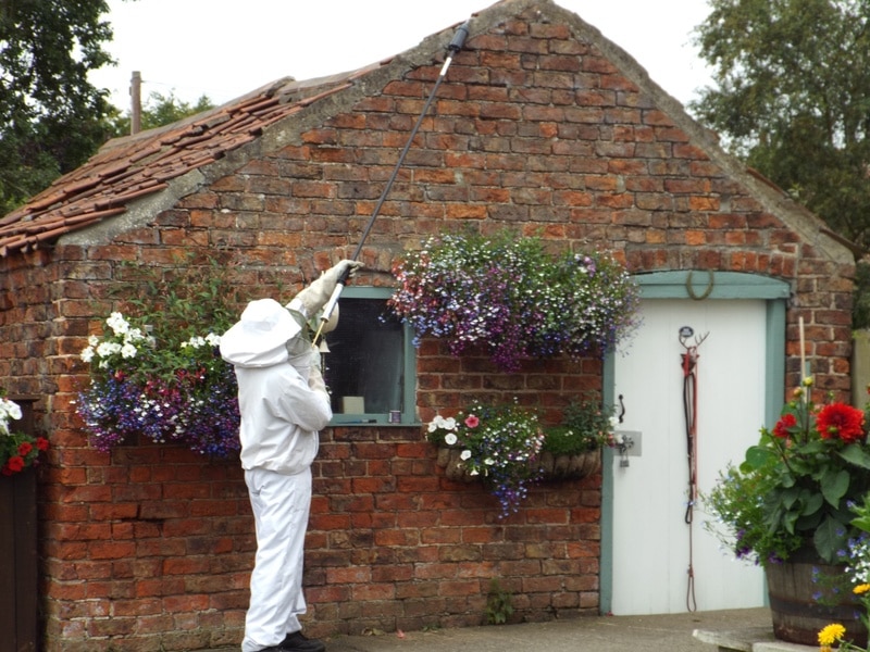 top 3 spring insect pests