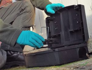 doncaster rat control