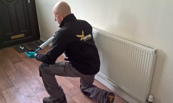 Mouse control Doncaster