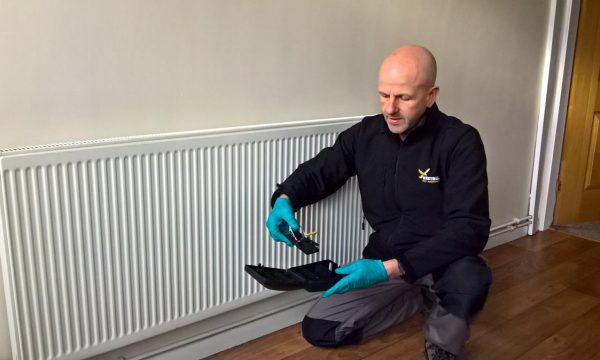 Mouse treatment Doncaster