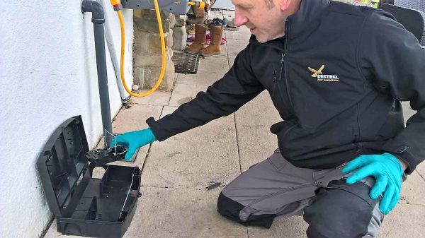 Rat treatment Doncaster