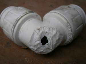 rat chewing dishwasher valve