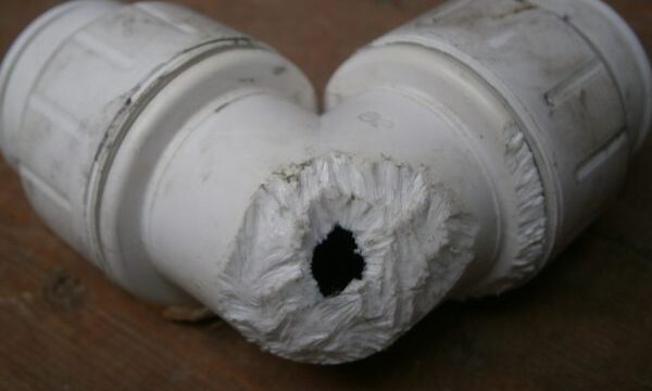 rat chewing dishwasher valve