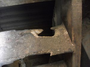 rat damage farm