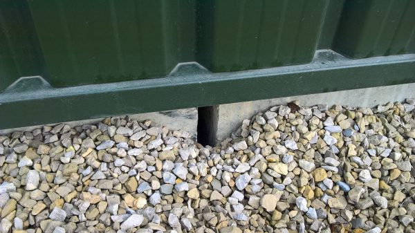 rodent proofing issue