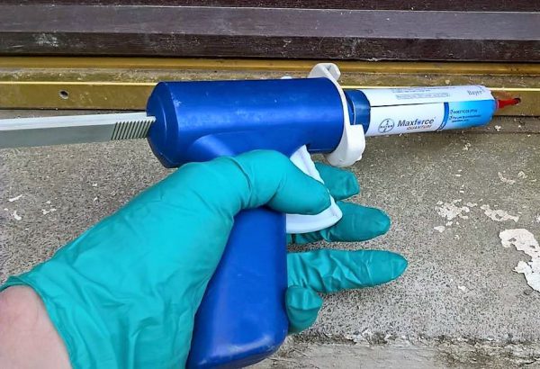 ant eradication doncaster
