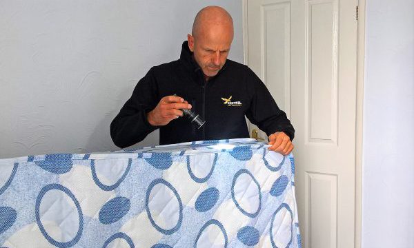 bed bug control doncaster