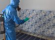 bed bug control doncaster