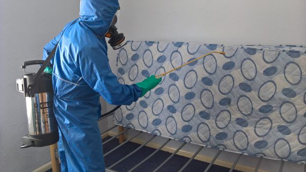 bed bug control doncaster