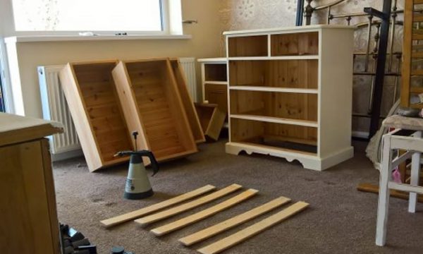 bed bug control doncaster