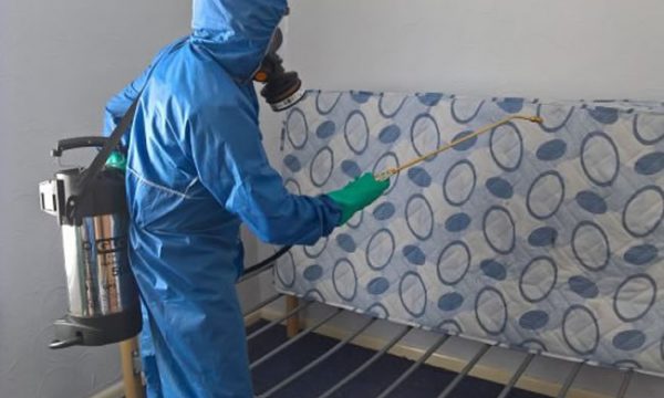 bed bug control doncaster