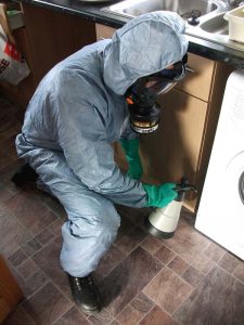 Cockroach control Doncaster