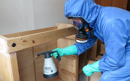 Pest Control During Covid-19/Coronavirus Pandemic