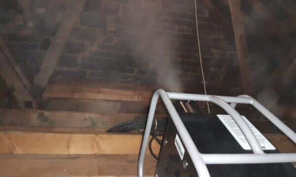 disinfection of loft space