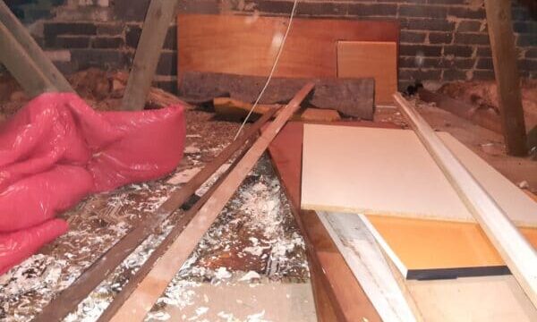 rat contaminated loft space