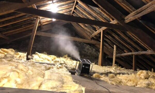 cluster fly treatment doncaster