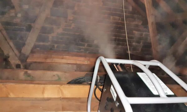 Installation of new loft insulation