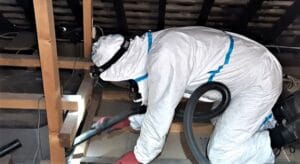 loft space clean and disinfection