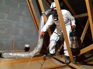 loft space clean and disinfection