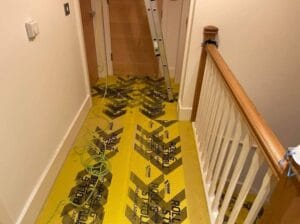 covering of carpets