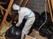 loft space clean and disinfection