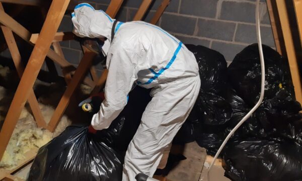 loft space clean and disinfection