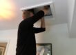 scratching noises in loft