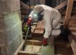 cleaning contaminated loft