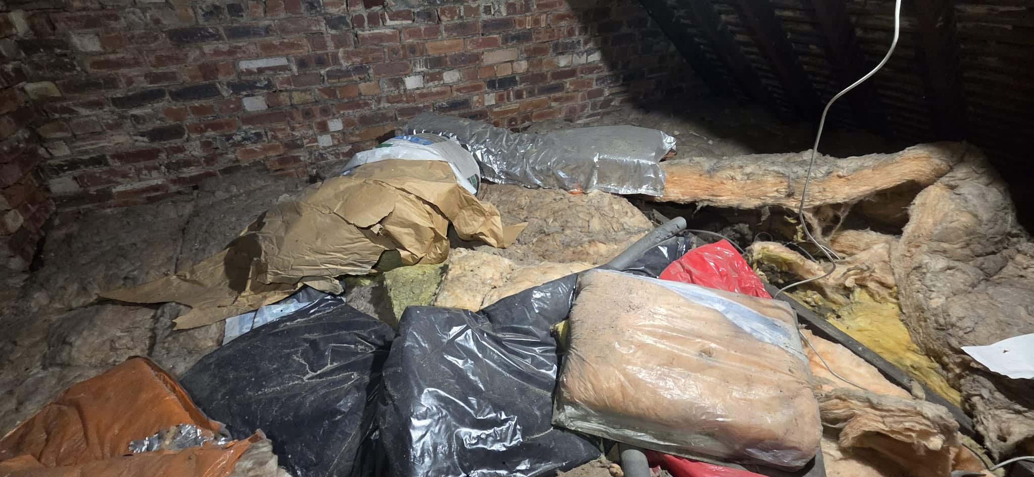 rat infestation in loft and fleas